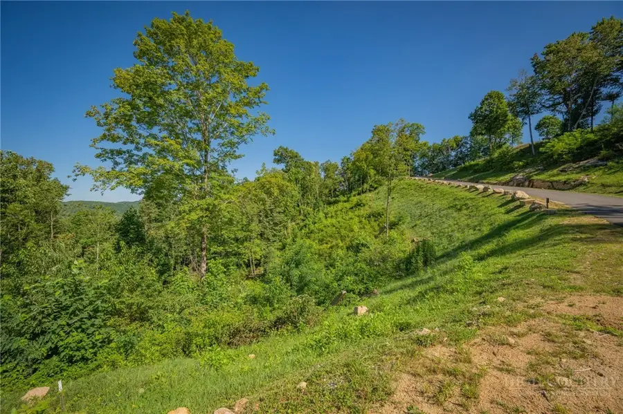 WR-3 Sierra Trail, Elk Park, NC 28622 - #2
