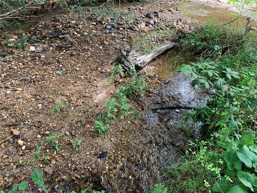 Lot 32 Waterstone Drive, Boone, NC 28607 - #3