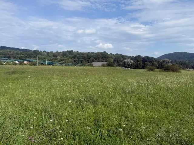 TBD Mount Jefferson Road, West Jefferson, NC 28694 - #3