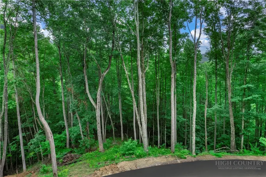 V-66 Featherstone Trace, Banner Elk, NC 28604 - #2