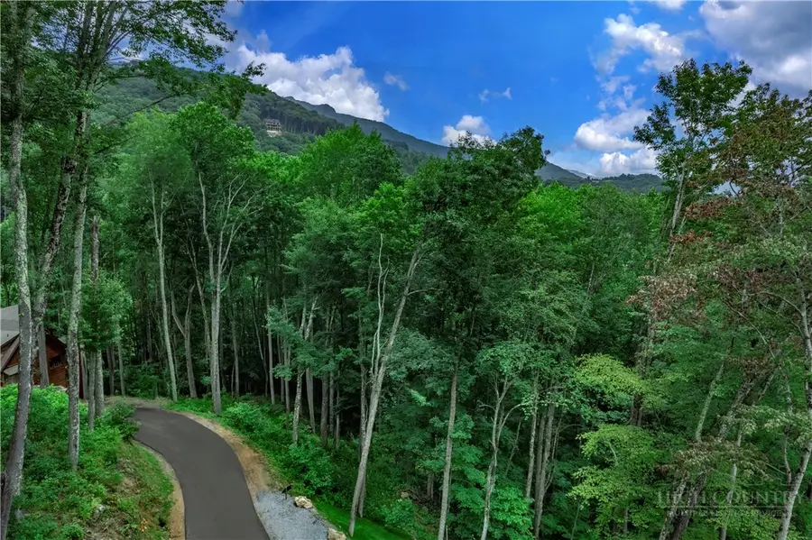 V-66 Featherstone Trace, Banner Elk, NC 28604 - #3