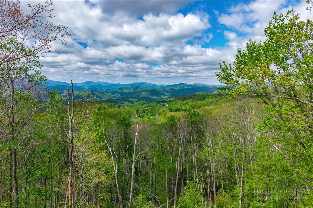 S-90 Talon Drive, Banner Elk, NC 28604 - #1