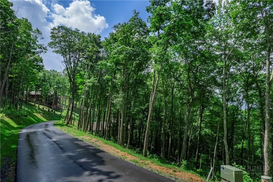 S-90 Talon Drive, Banner Elk, NC 28604 - #2