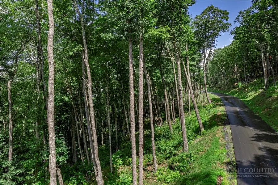 S-90 Talon Drive, Banner Elk, NC 28604 - #3