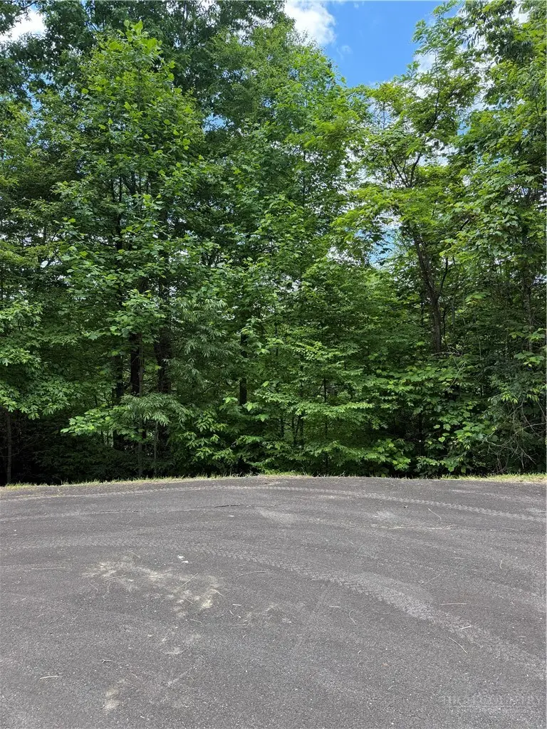 Lots 3 & 4 Chardonnay, Newland, NC 28657 - #3