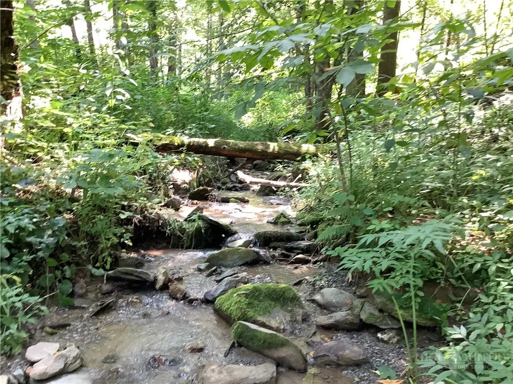 lot 4 Larkspur Trail, Banner Elk, NC 28604 - #1