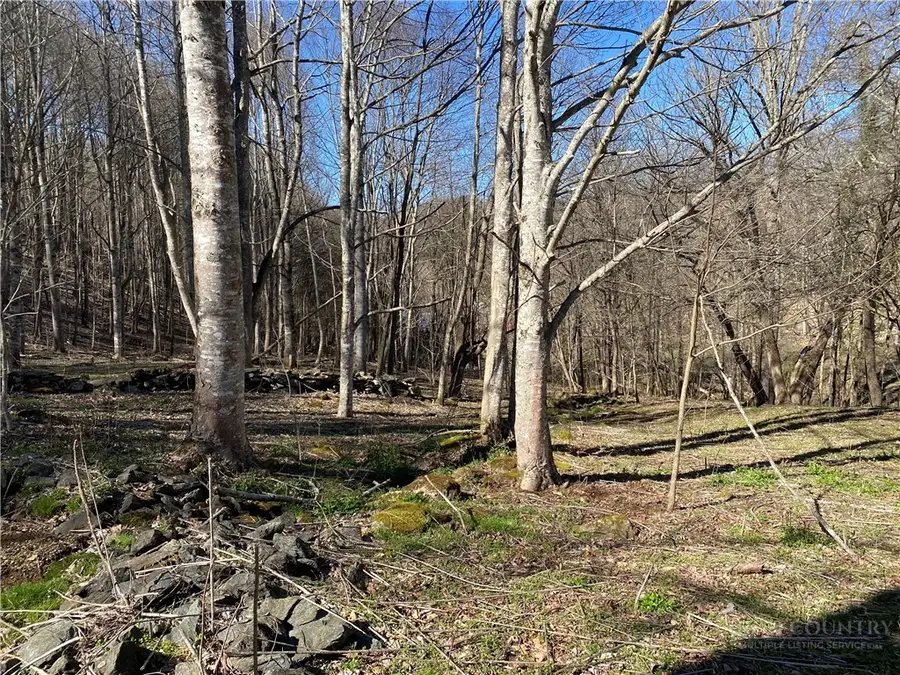lot 4 Larkspur Trail, Banner Elk, NC 28604 - #3