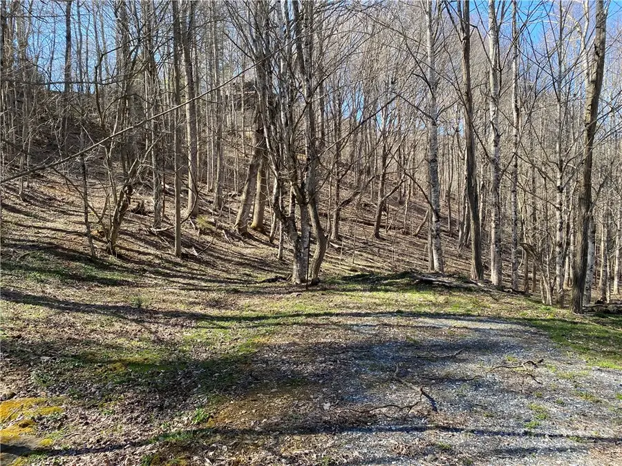 lot 5 Larkspur Trail, Banner Elk, NC 28604 - #2