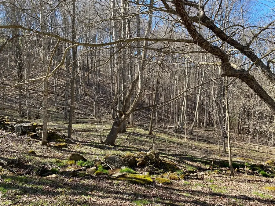 lot 5 Larkspur Trail, Banner Elk, NC 28604 - #3