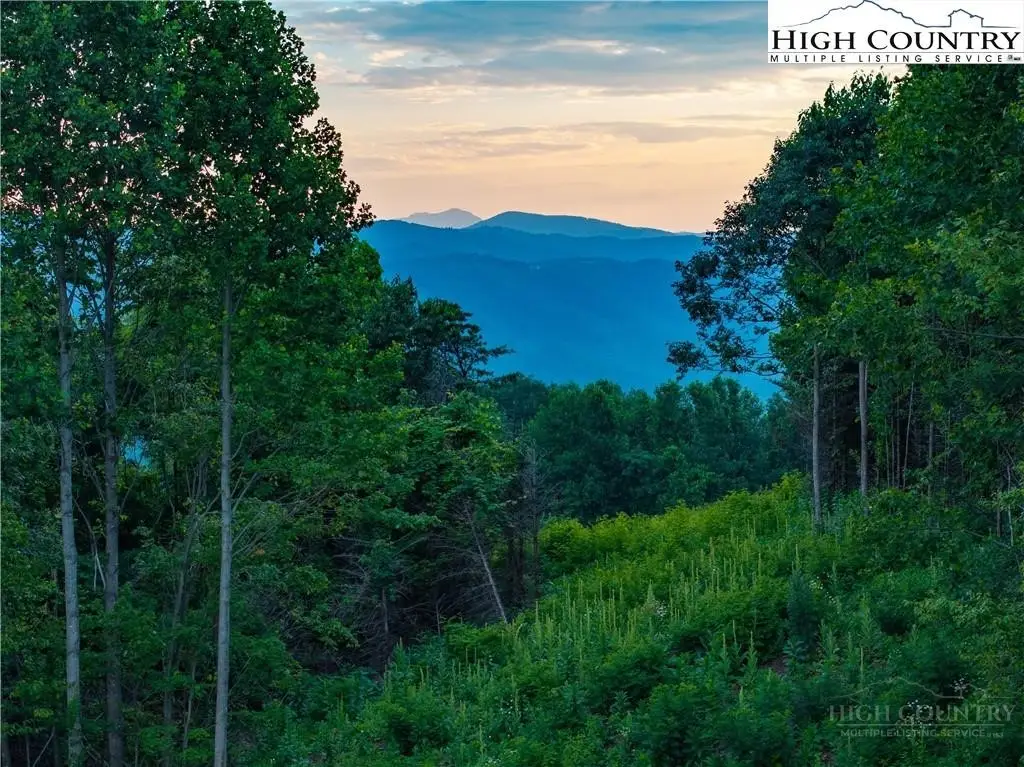 Lot 142 Angelfire Trail, Deep Gap, NC 28618 - #1