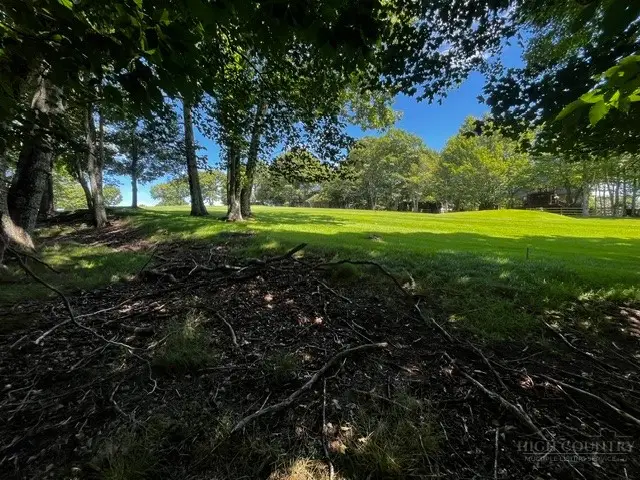 208 Pine Ridge Road, Beech Mountain, NC 28604 - #1