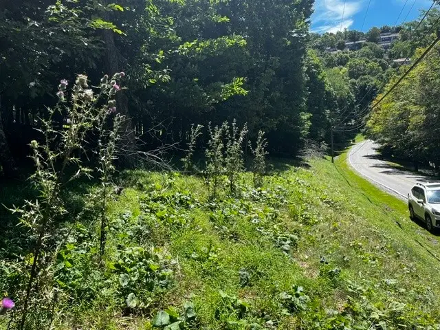 208 Pine Ridge Road, Beech Mountain, NC 28604 - #2