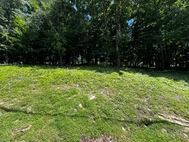 208 Pine Ridge Road, Beech Mountain, NC 28604 - #3