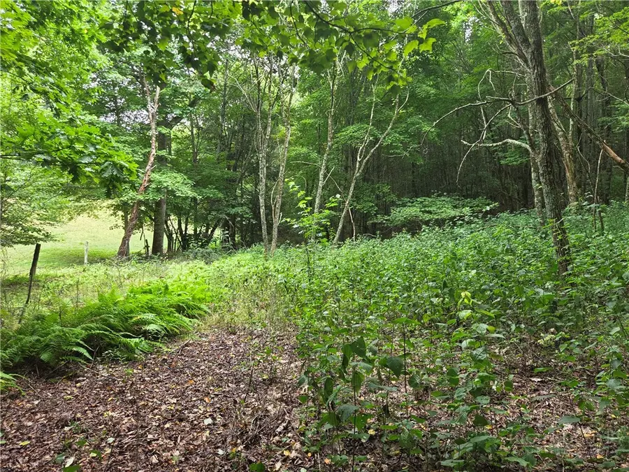 701 Pigeon Roost Road, Banner Elk, NC 28604 - #3