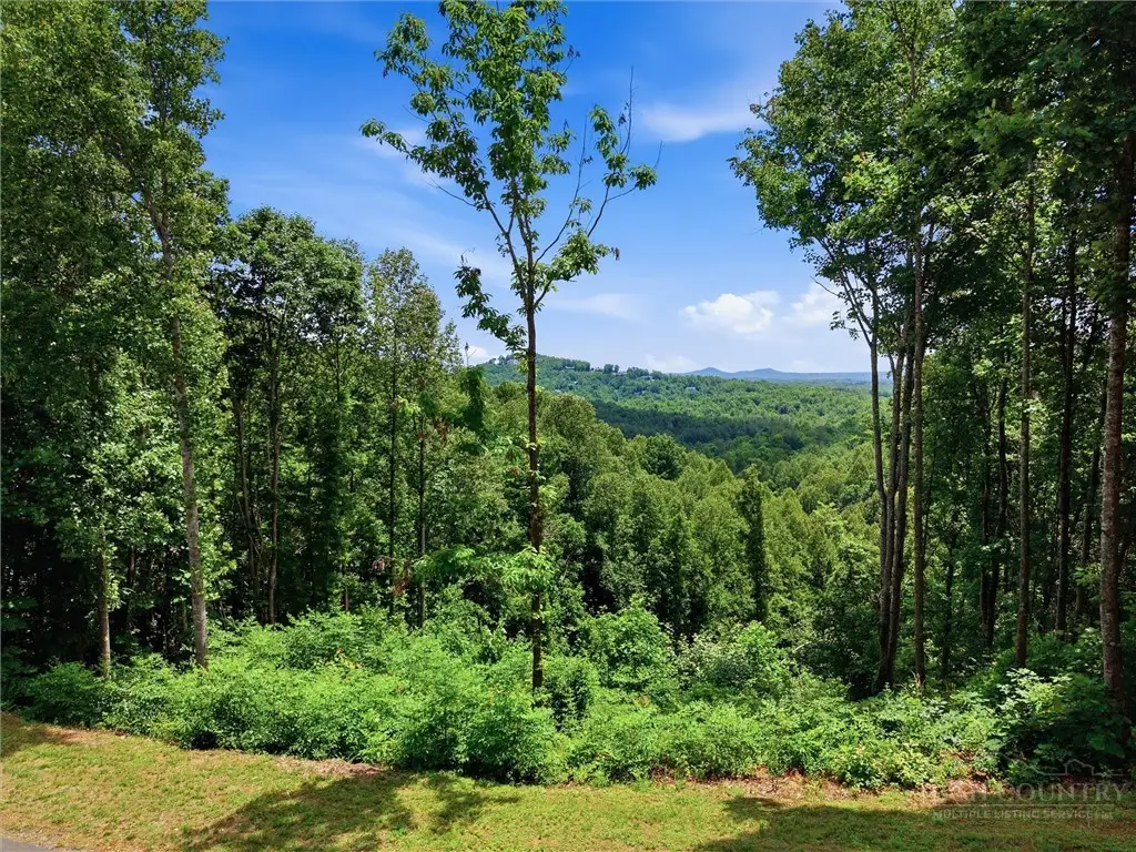 1288 Johns Ridge Parkway, Lenoir, NC 28645 - #1
