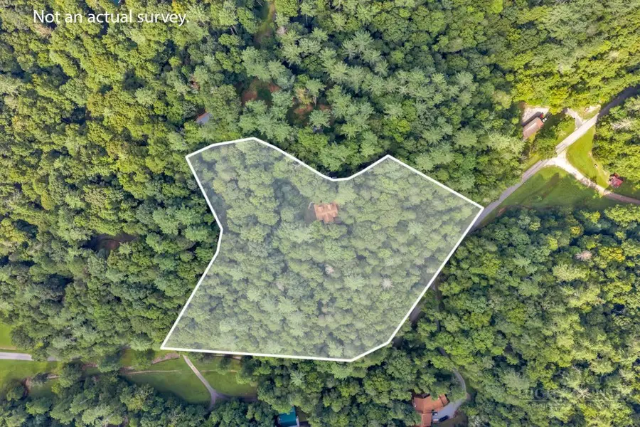735 Holleridge Road, Ferguson, NC 28624 - #3