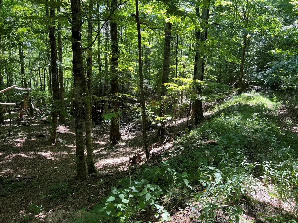 TBD Maple Branch Road, West Jefferson, NC 28694 - #1