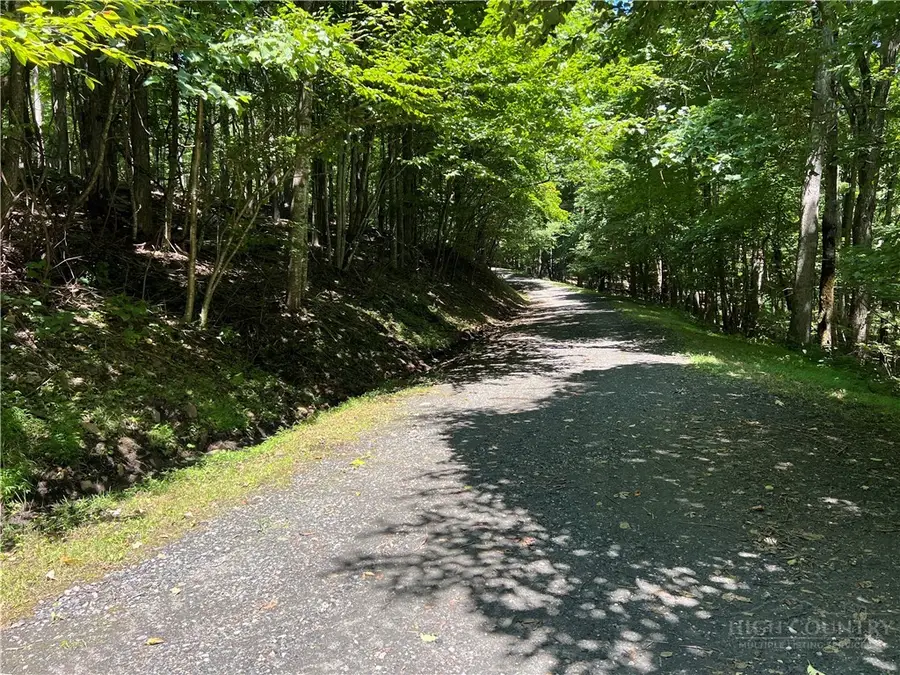 TBD Maple Branch Road, West Jefferson, NC 28694 - #2