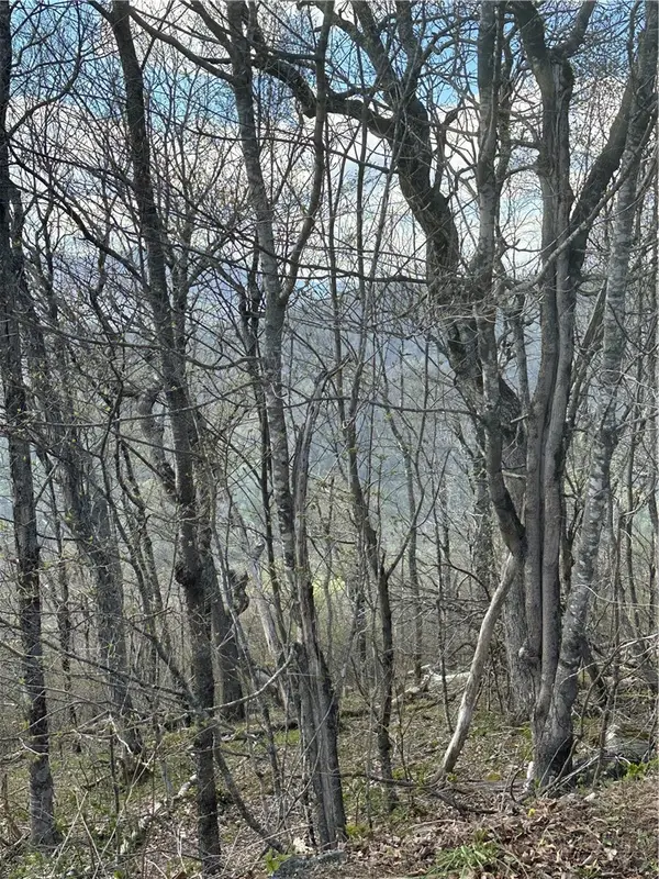 Lot 40 Silver Fox Drive, Blowing Rock, NC 28605
