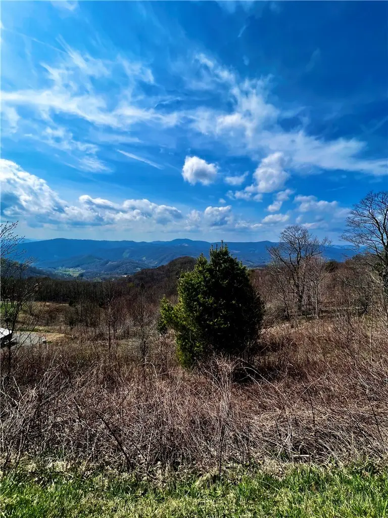 H103 Acorn Nvno, Zionville, NC 28698 - #2