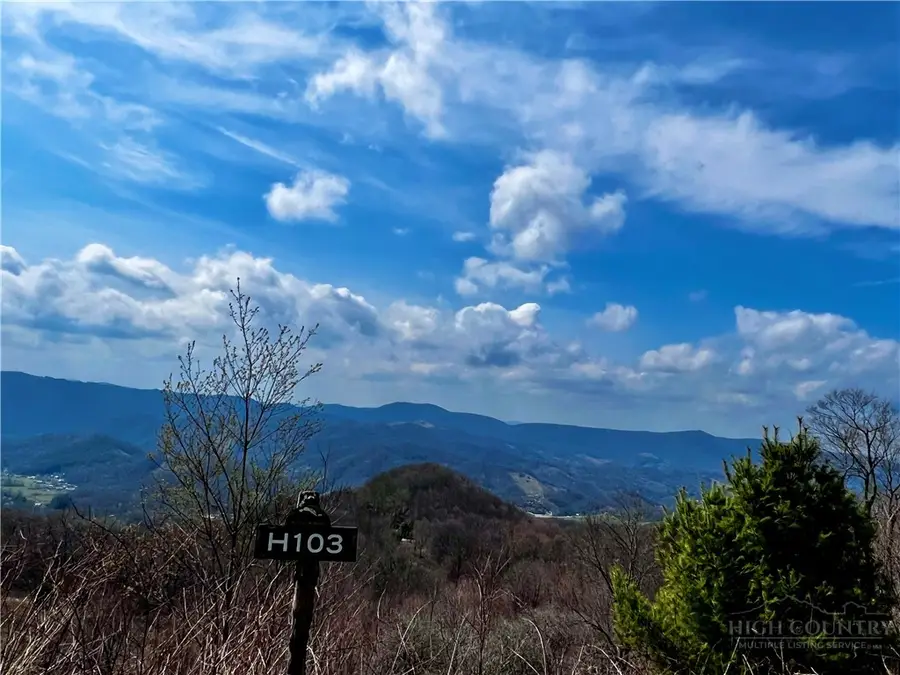 H103 Acorn Nvno, Zionville, NC 28698 - #3
