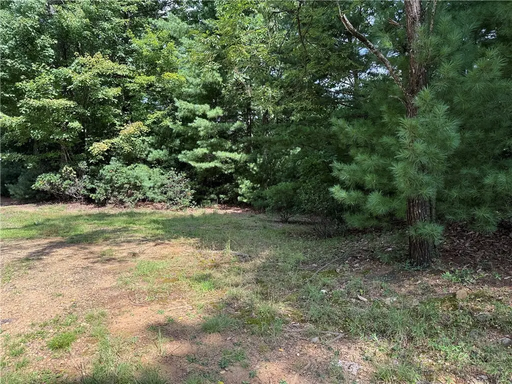 Lot 119 Rich Pine Drive, Purlear, NC 28665 - #1