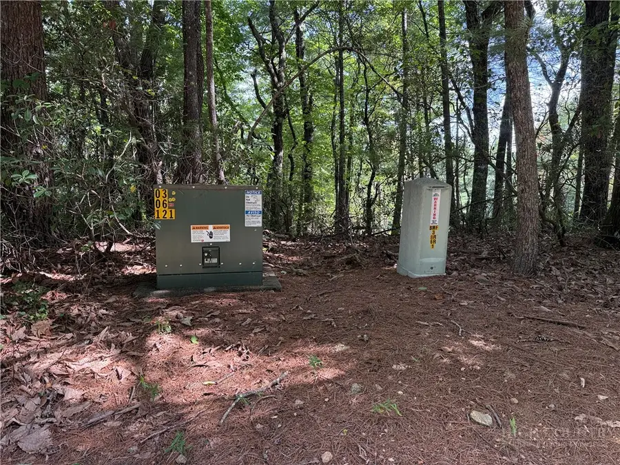 Lot 119 Rich Pine Drive, Purlear, NC 28665 - #2