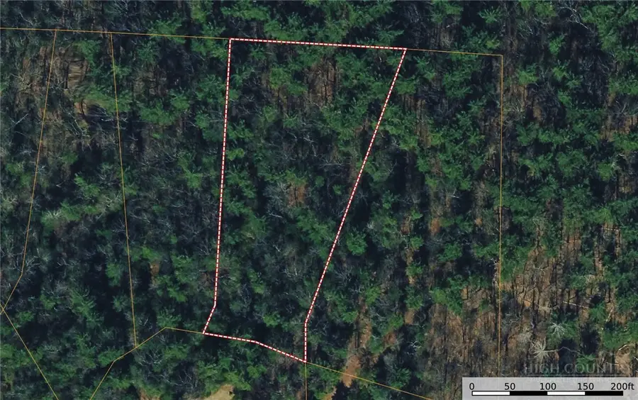 Lot 119 Rich Pine Drive, Purlear, NC 28665 - #3