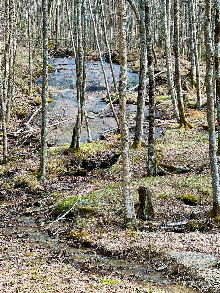 ES-61 Rippling Waters Trail, Banner Elk, NC 28604 - #1