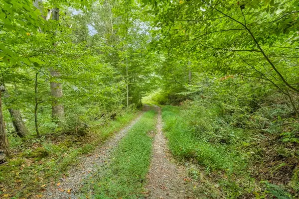 1768 Beaver Dam Road, Vilas, NC 28692