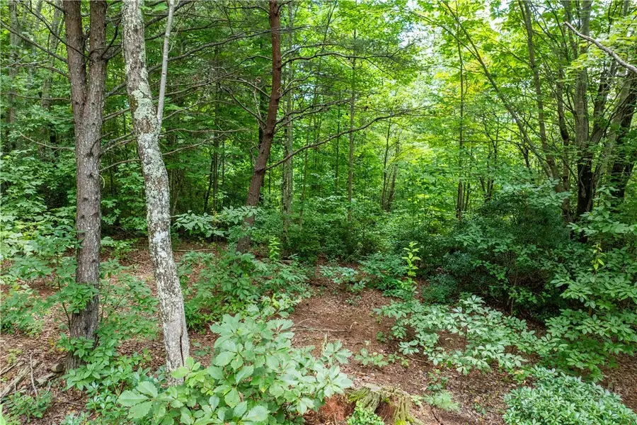 840a Dogwood, Lenoir, NC 28645 - #3