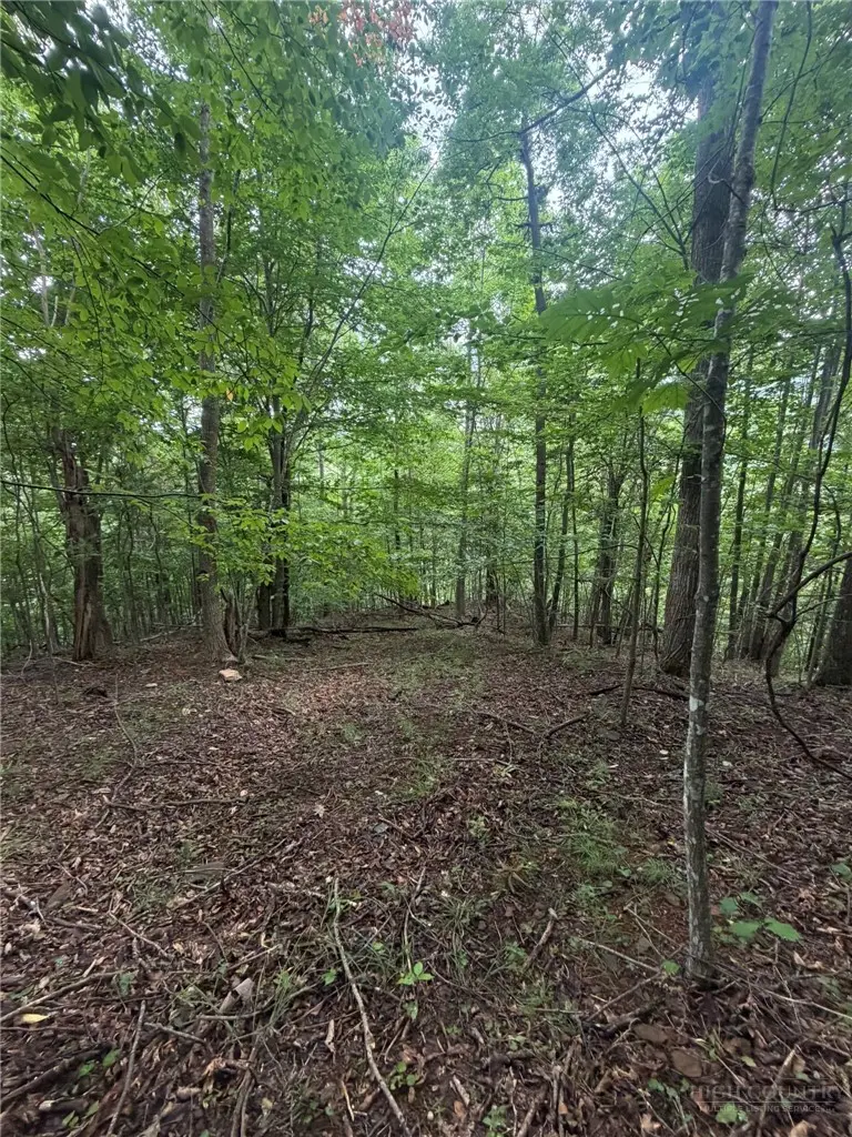 TBD Edwin Blevins Road, Jefferson, NC 28640 - #1