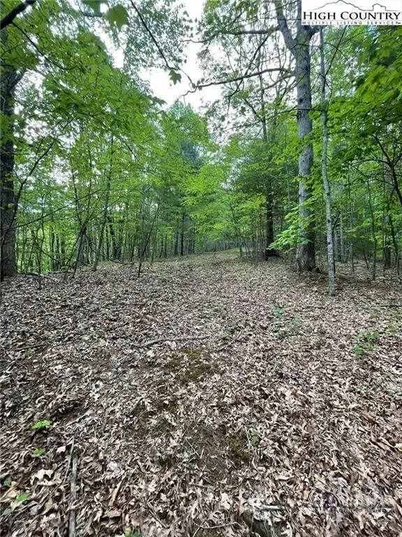 TBD Edwin Blevins Road, Jefferson, NC 28640 - #3
