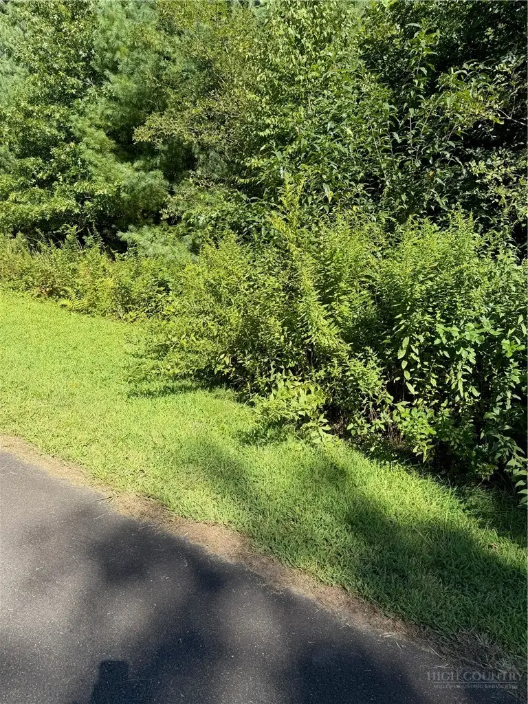TBD Parkway Pointe Drive, West Jefferson, NC 28694 - #3