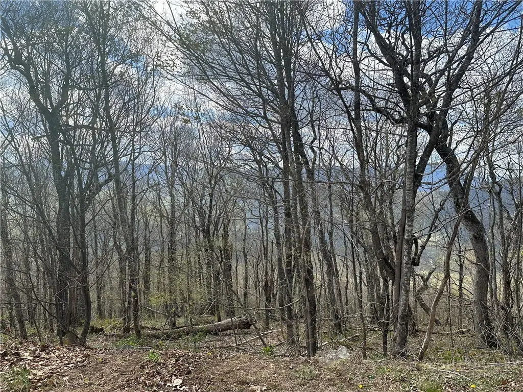 Lot 41 Silver Fox Drive, Blowing Rock, NC 28605 - #1