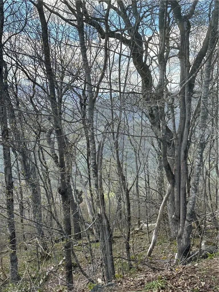 Lot 41 Silver Fox Drive, Blowing Rock, NC 28605 - #2