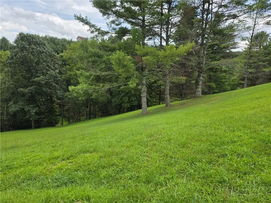 Lot 7 Annais Drive, Crumpler, NC 28617 - #3