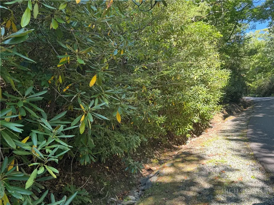 6323 Upper Creek Drive, Newland, NC 28657 - #2