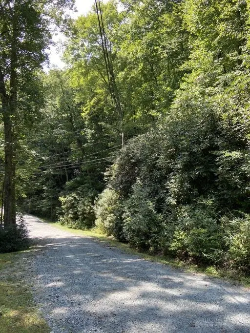Lots 81 & 82 Tweetsie Lane, Banner Elk, NC 28604 - #2