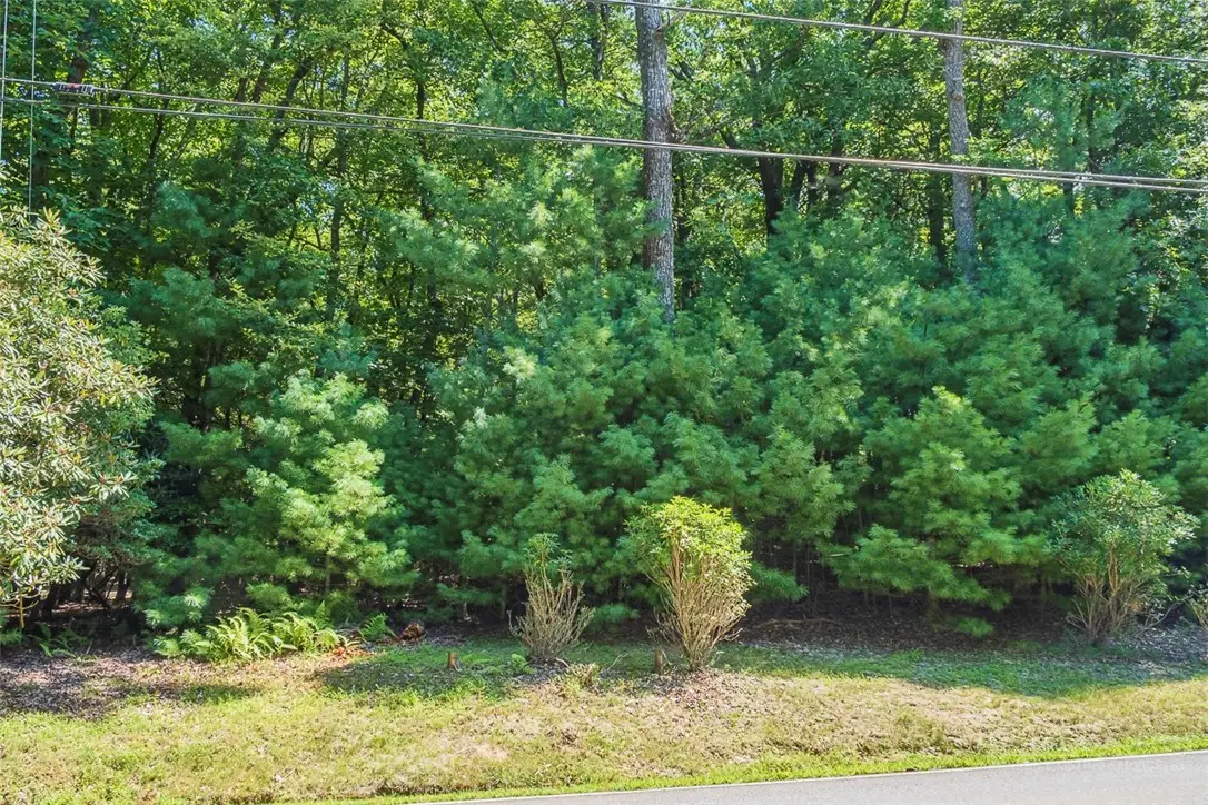 TBD Country Club Road #44R, Roaring Gap, NC 28668 - #1