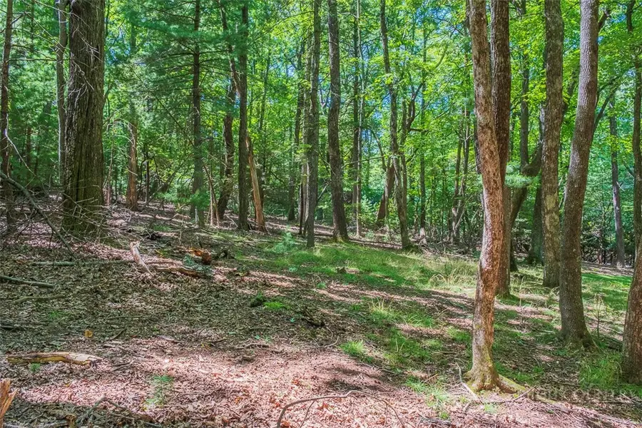 TBD Country Club Road #44R, Roaring Gap, NC 28668 - #2