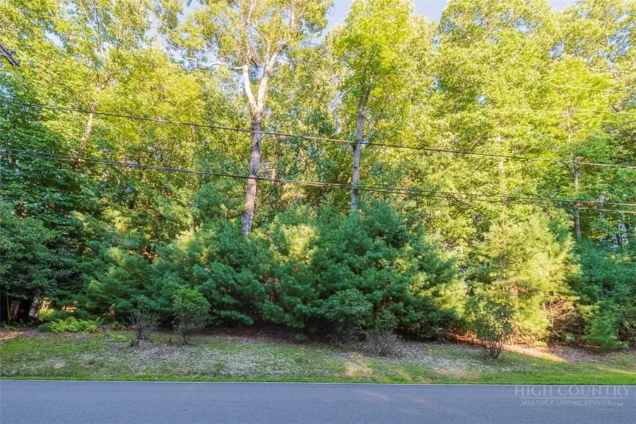 TBD Country Club Road #44R, Roaring Gap, NC 28668 - #3
