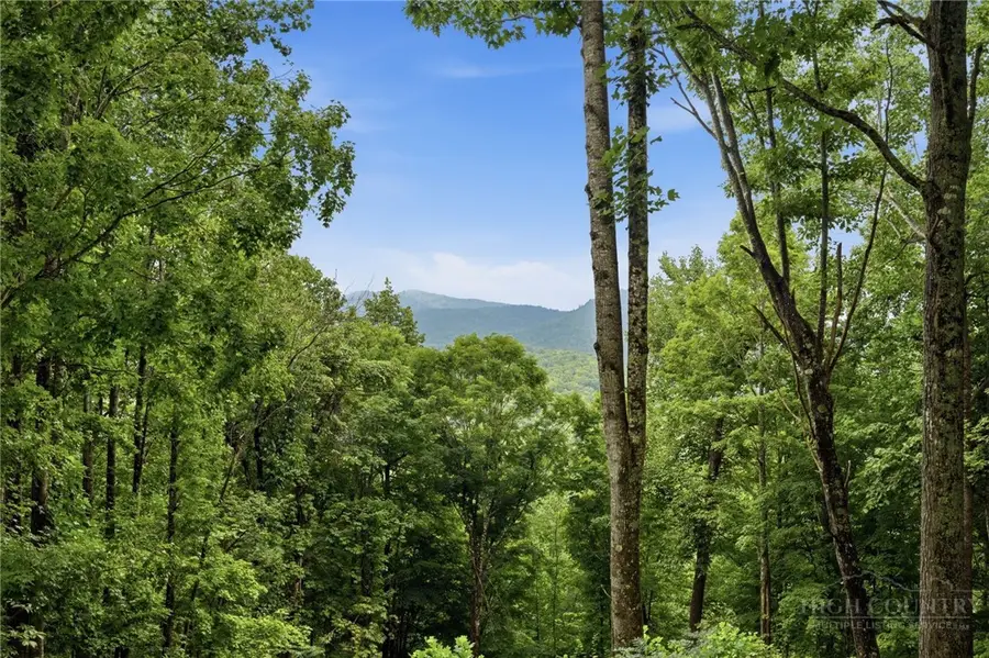 Lot 70 Bear Paw Road, Elk Park, NC 28622 - #2