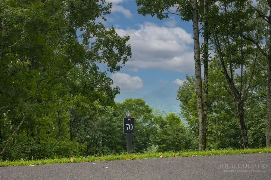 Lot 70 Bear Paw Road, Elk Park, NC 28622 - #3