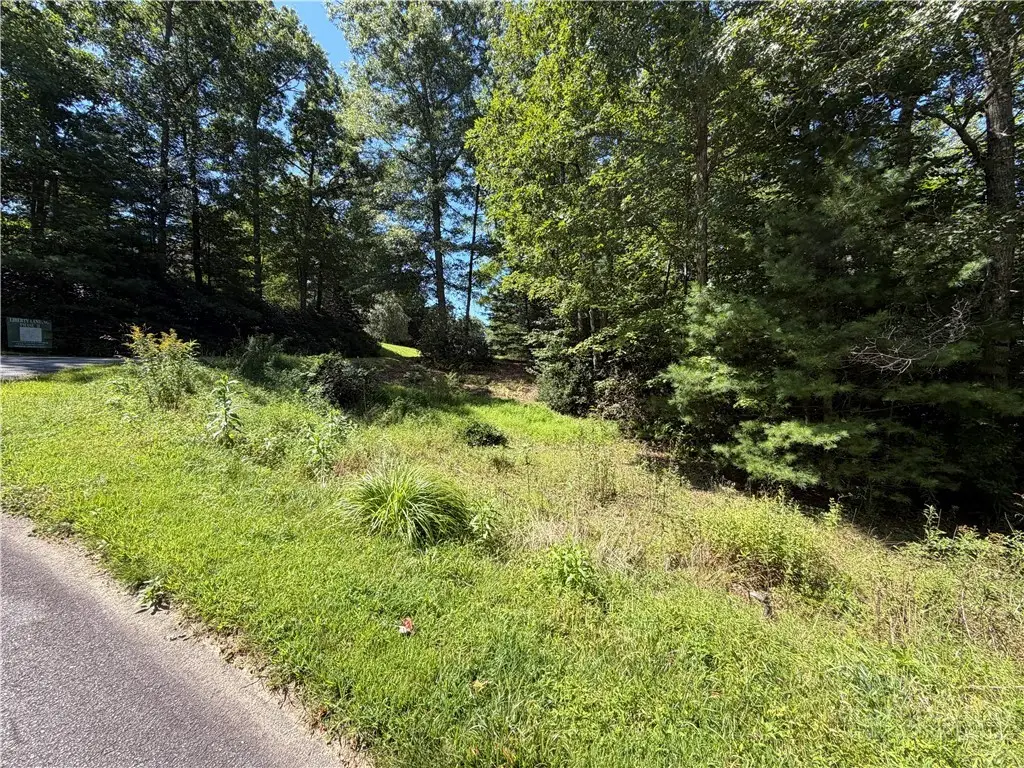 Lot 23 Liberty Landing Drive, Fleetwood, NC 28626 - #1