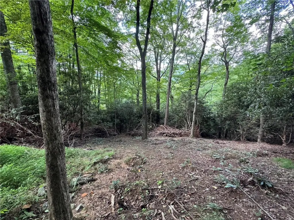 Lot 8 Bear Cub Trail, Boone, NC 28607 - #1
