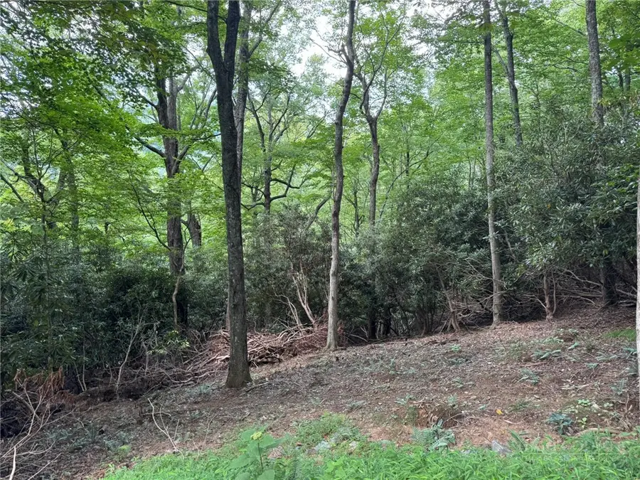 Lot 8 Bear Cub Trail, Boone, NC 28607 - #2