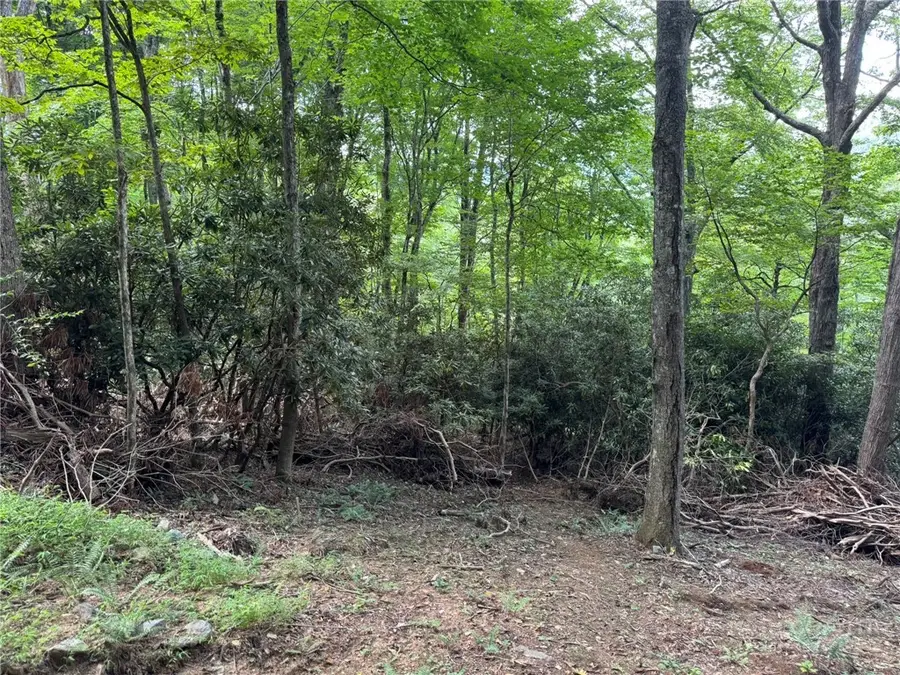 Lot 8 Bear Cub Trail, Boone, NC 28607 - #3
