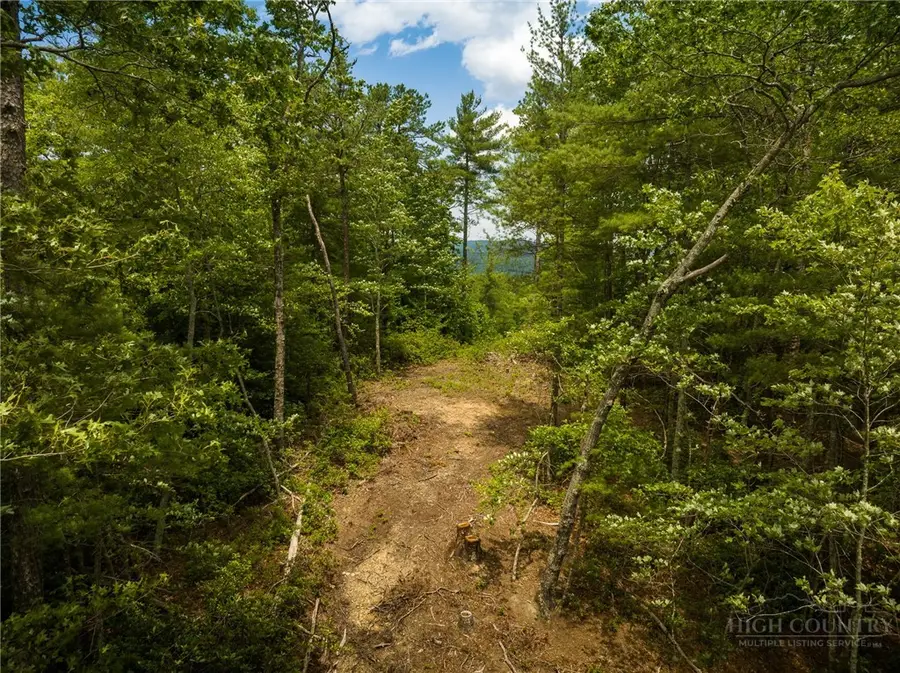 1328 Reynolds Parkway, Ferguson, NC 28624 - #2
