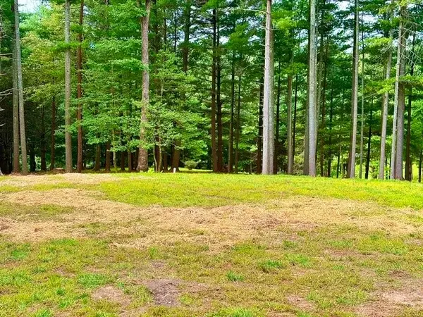 TBD Lot 48 Gleneagle West, Roaring Gap, NC 28668